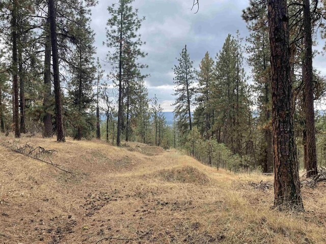 NKA Rocky Top Way, Deer Park, WA 99006 - photo 2
