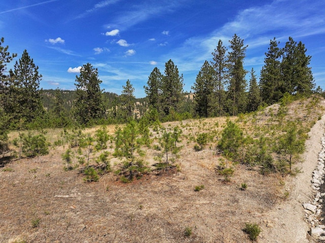 NKA N Cliff Ln Unit 27345.9137, Spokane WA, 99208 land for sale