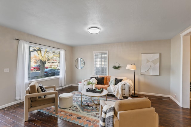 living room with dark hardwood / wood-style flooring