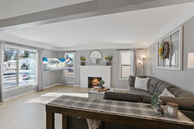 living room featuring light hardwood / wood-style floors