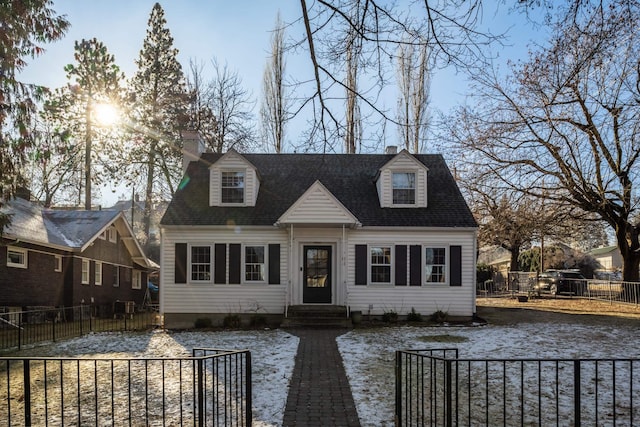 view of cape cod-style house