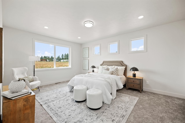 914 E Deer Park-Milan Rd, Deer Park, WA 99006 - bedroom featuring multiple windows, carpet, baseboards, and recessed lighting