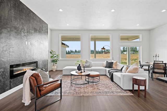 914 E Deer Park-Milan Rd, Deer Park, WA 99006 - living area with recessed lighting, wood finished floors, a fireplace, and baseboards