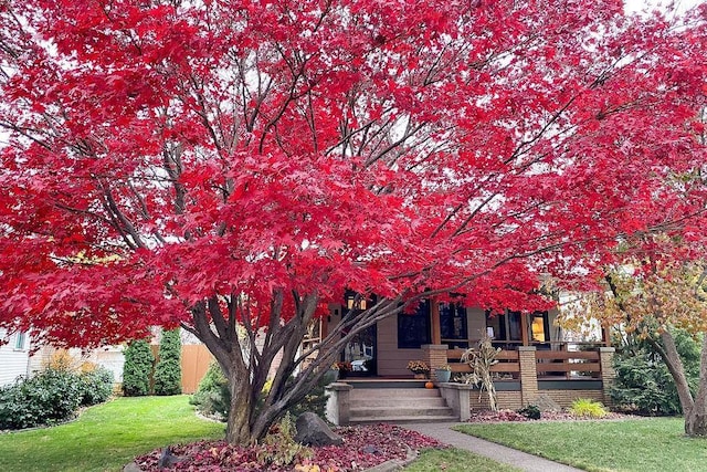 view of front of home featuring a front yard