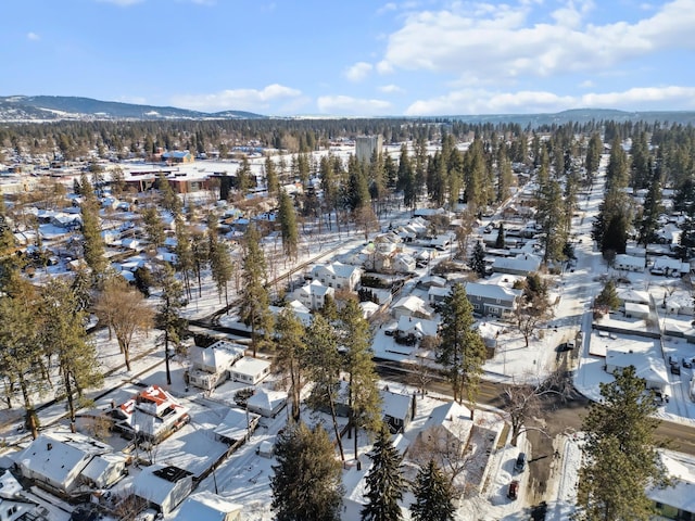 snowy aerial view featuring a mountain view