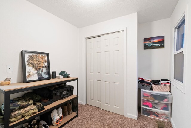 hall with light colored carpet and a textured ceiling