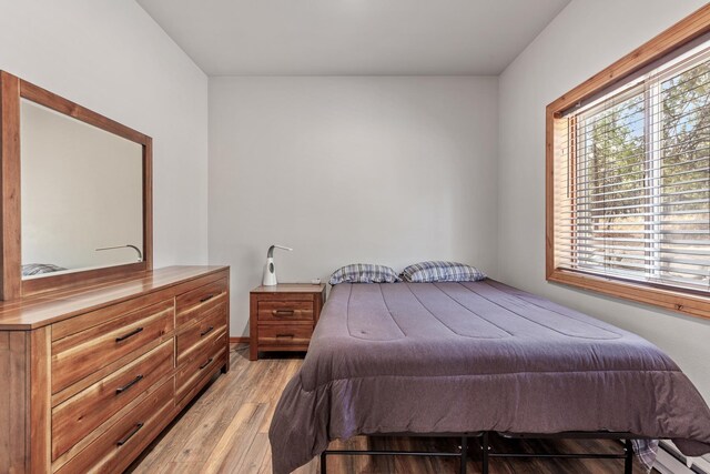 28411 N Milan Rd, Chattaroy, WA 99003 - bedroom with light wood-type flooring