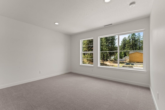 unfurnished room featuring a textured ceiling and carpet flooring