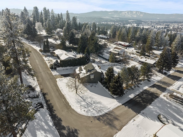 birds eye view of property with a mountain view