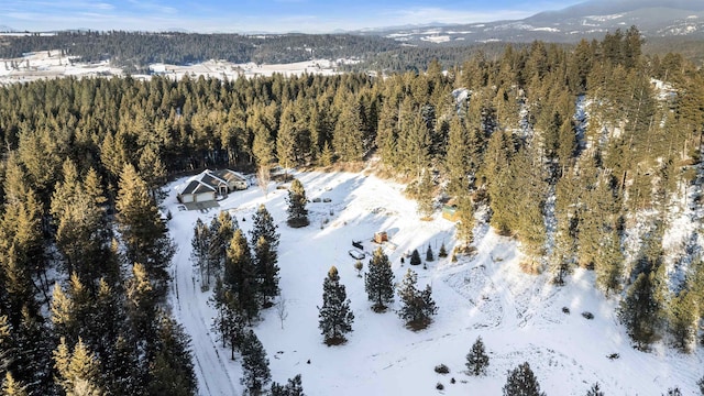 snowy aerial view featuring a mountain view