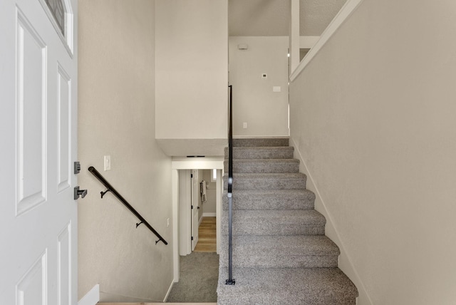 stairway featuring carpet floors