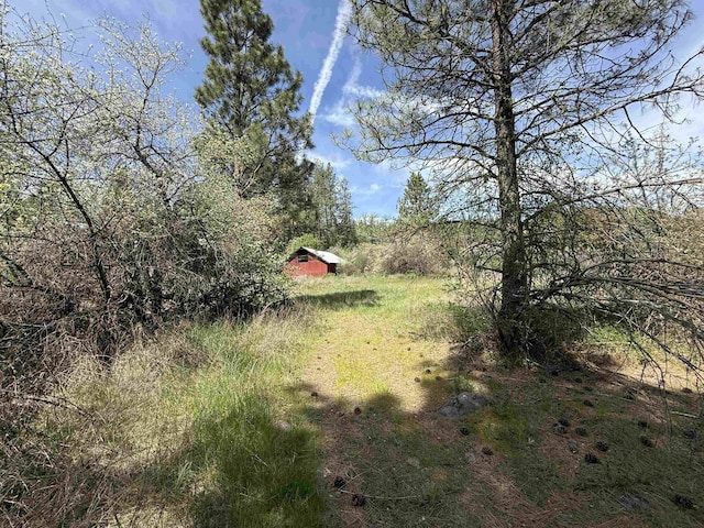 3108 W Thorpe Rd, Spokane, WA 99224
