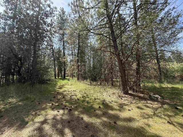 3108 W Thorpe Rd, Spokane, WA 99224