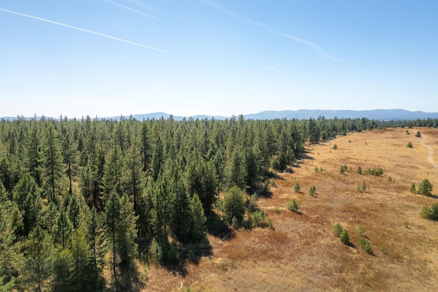 Listing photo 3 for NKA E Slaton Rd Lot 39, Deer Park WA 99006