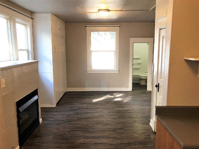 interior space featuring dark hardwood / wood-style flooring