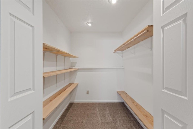 walk in closet featuring carpet floors