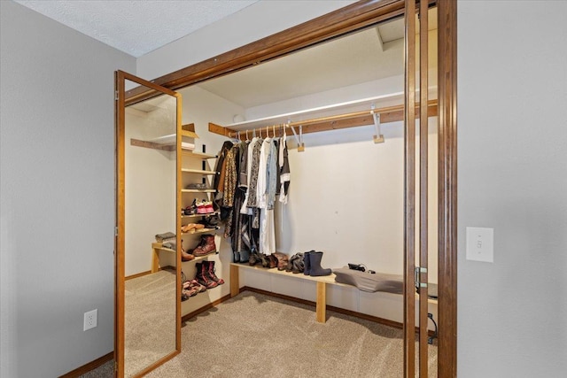 spacious closet featuring carpet floors