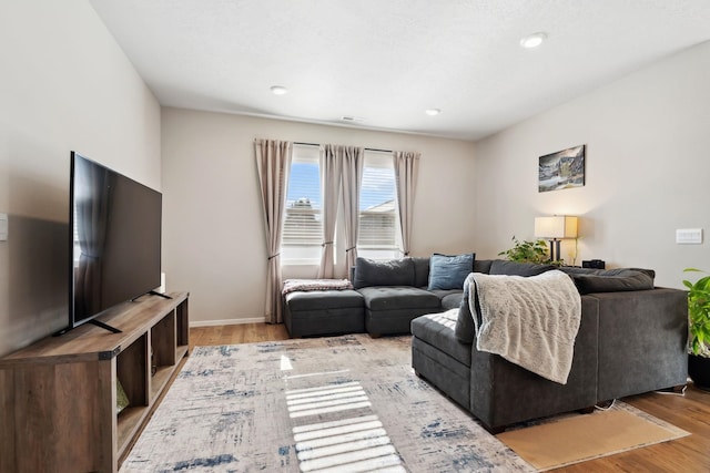 living room featuring light hardwood / wood-style floors