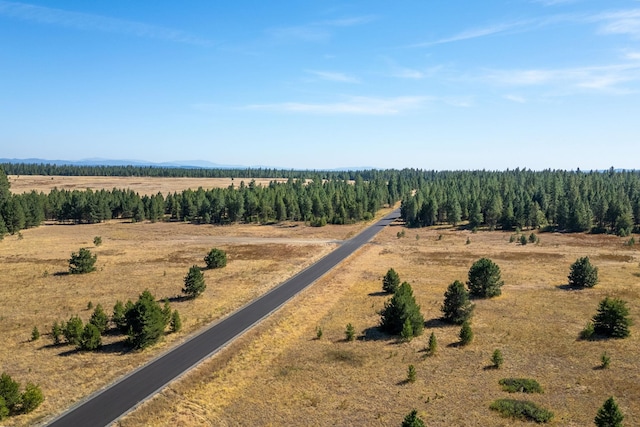 Listing photo 2 for NKA E Slaton Rd Lot 40, Deer Park WA 99006