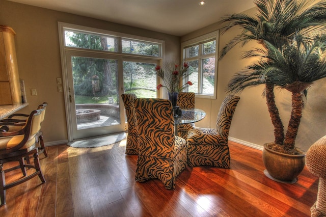 dining area featuring dark hardwood / wood-style flooring