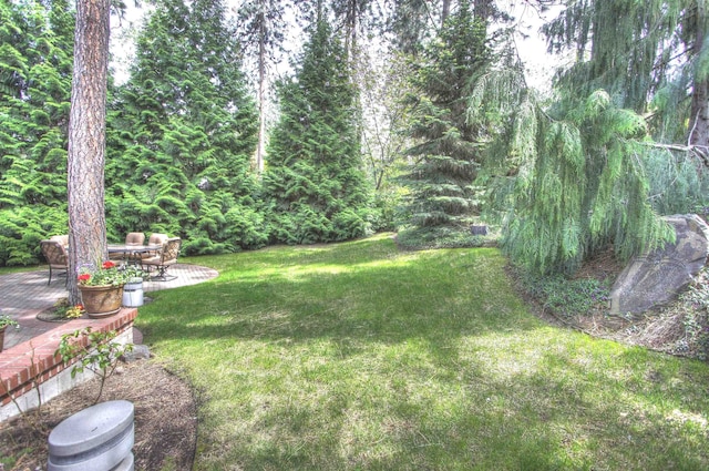 view of yard featuring a patio area