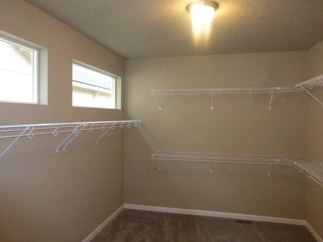 spacious closet with dark colored carpet