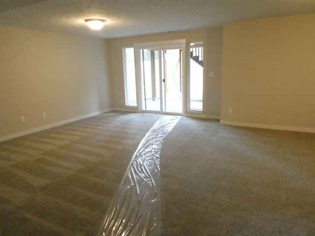 empty room featuring carpet