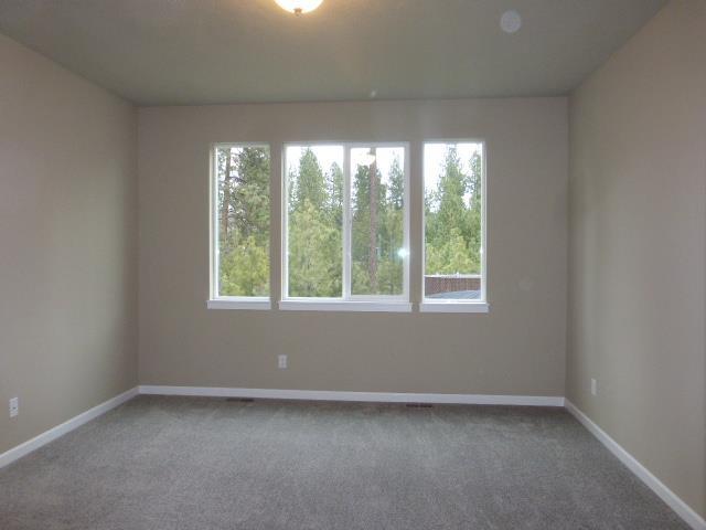 unfurnished room featuring carpet