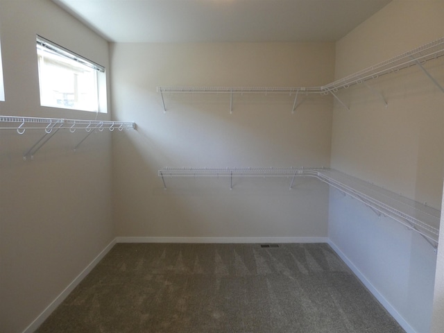 walk in closet with dark colored carpet