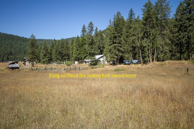 view of local wilderness with a rural view