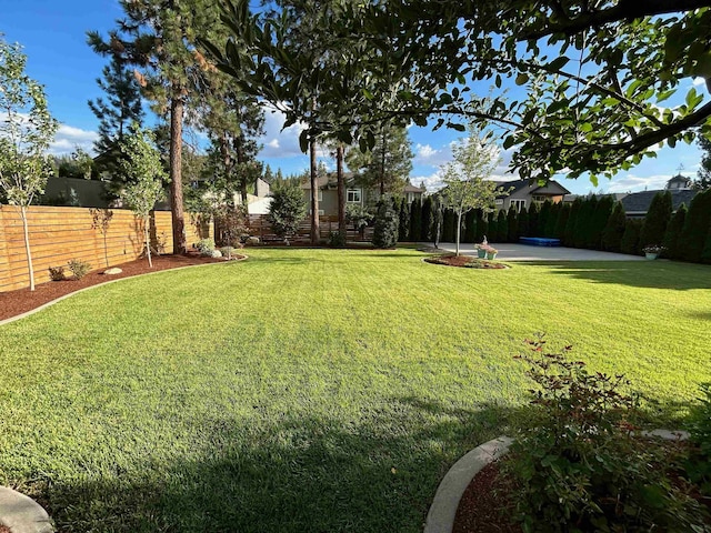 view of yard with a patio