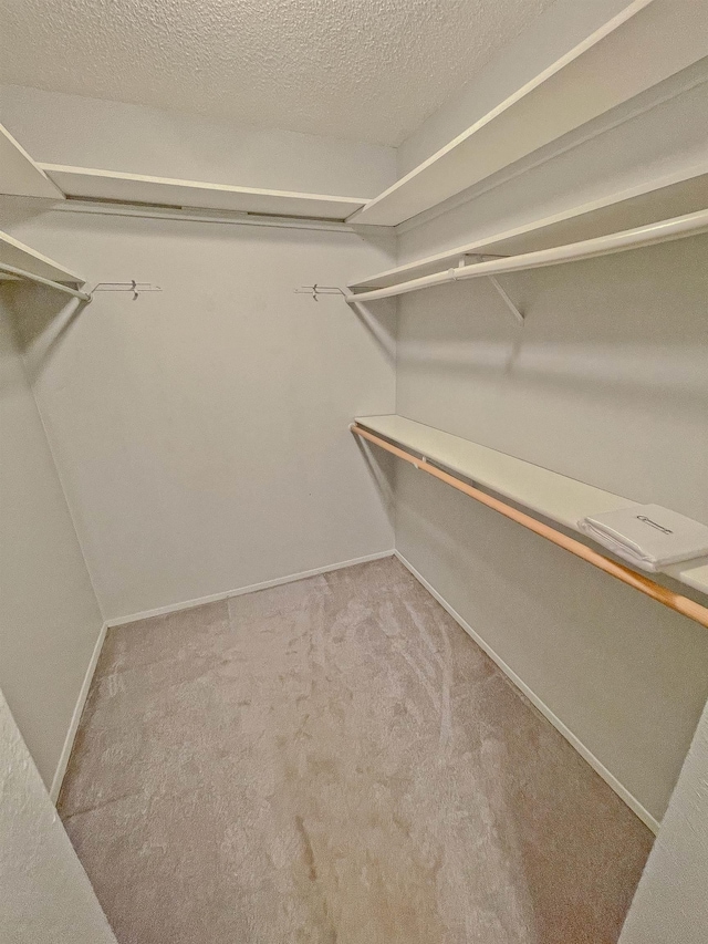 walk in closet with light colored carpet