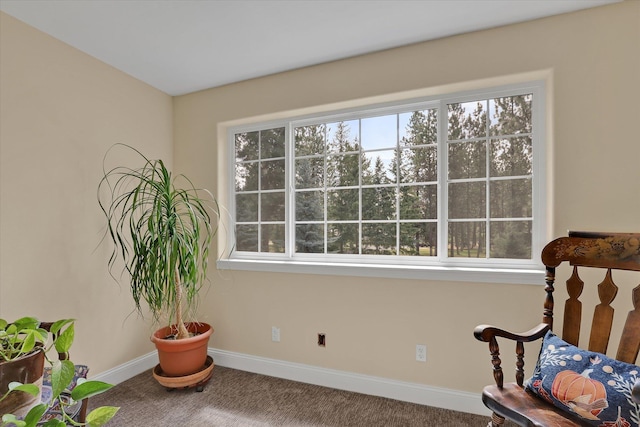 sitting room with carpet floors