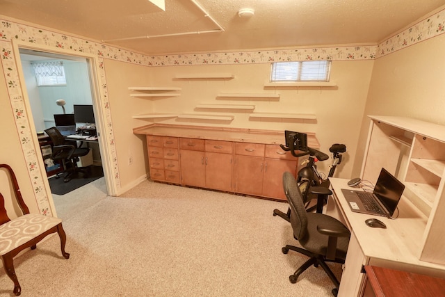 carpeted office with a healthy amount of sunlight and a textured ceiling