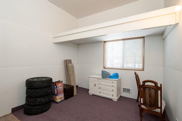 245 Jade Dr, Newport, WA 99156 - photo 41