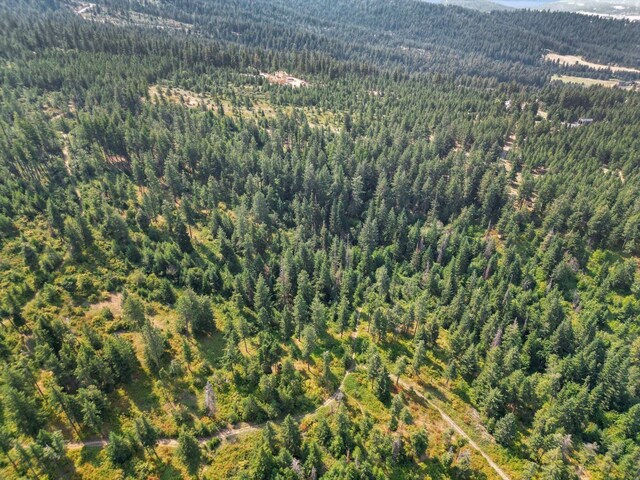 58X3 S Corkery Rd, Spokane, WA 99223