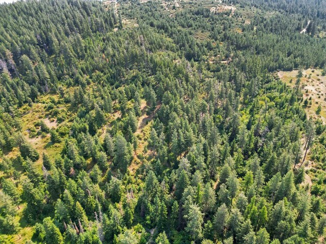 58X3 S Corkery Rd, Spokane, WA 99223