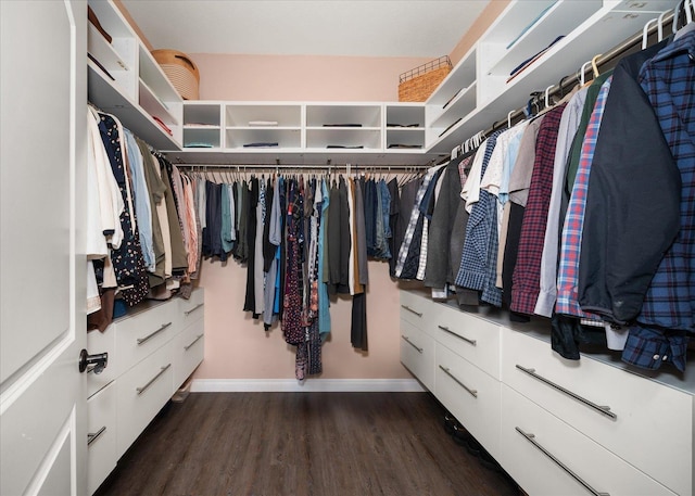 spacious closet featuring dark hardwood / wood-style floors