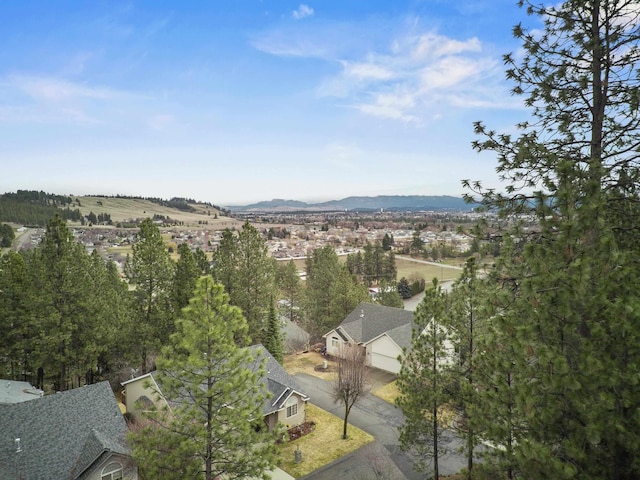 5107N Argonne Ln # 4, Spokane, WA 99212 - mountain view