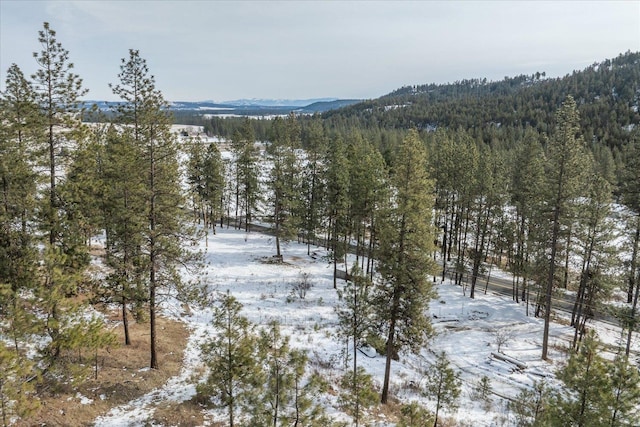 view of mountain feature