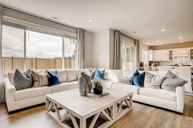 living room featuring light hardwood / wood-style flooring and a wealth of natural light