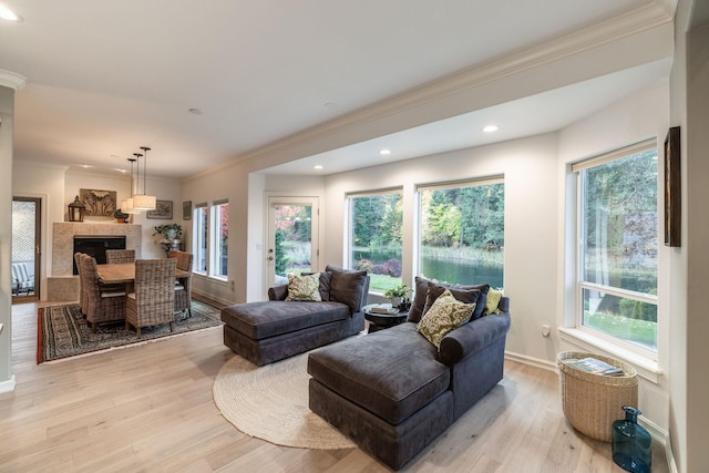 living room featuring light wood-type flooring and ornamental molding