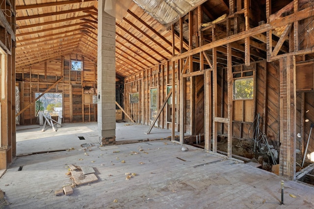 miscellaneous room with lofted ceiling