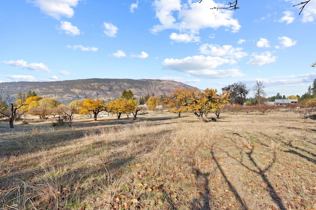 property view of mountains featuring a rural view