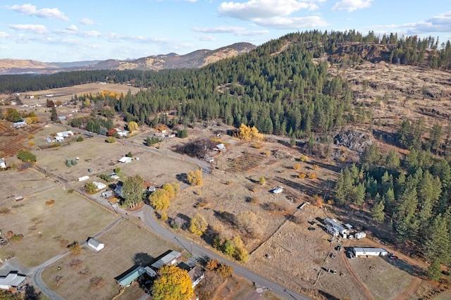 birds eye view of property with a mountain view