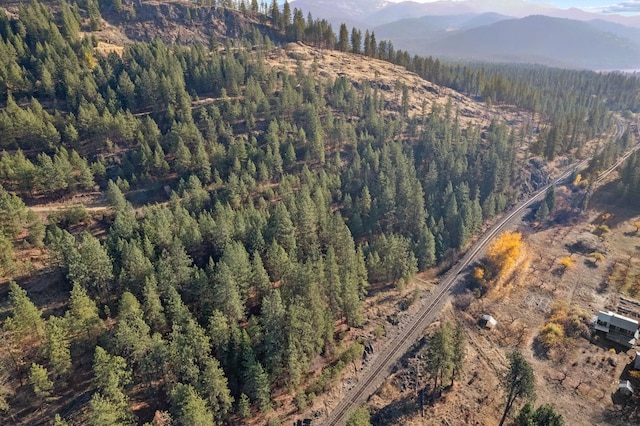 bird's eye view featuring a mountain view and a view of trees