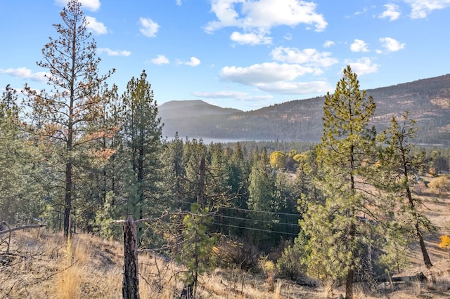 mountain view with a view of trees