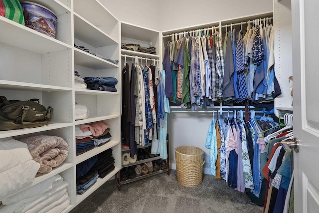 spacious closet with carpet flooring