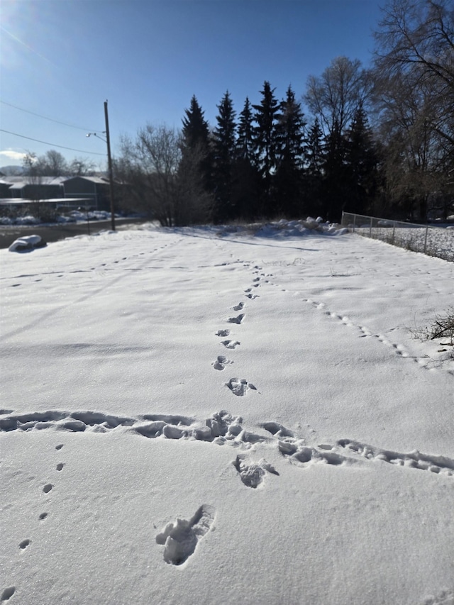 view of yard layered in snow