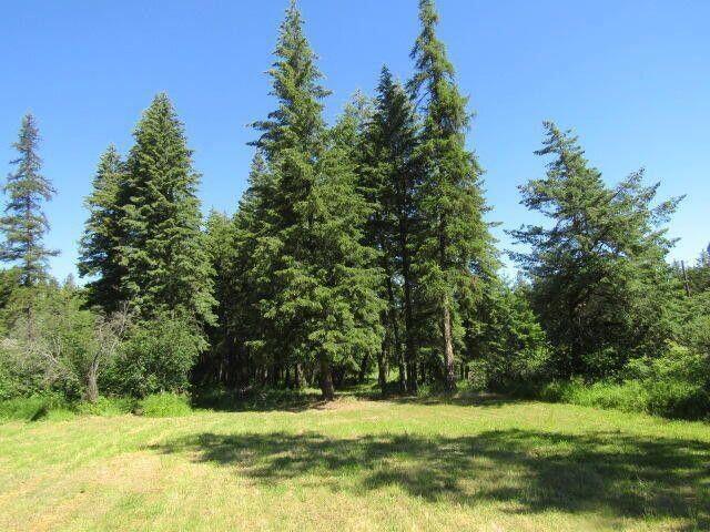 Listing photo 3 for XX Crane Rd, Kettle Falls WA 99141